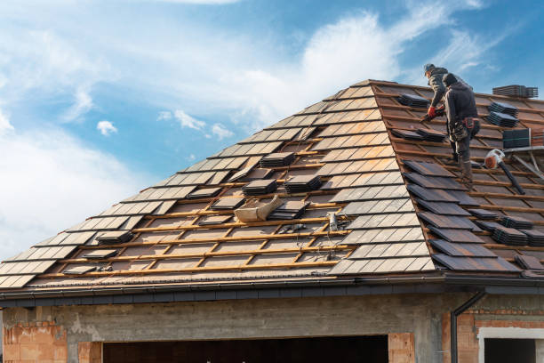 Best Roofing for New Construction  in Bellingham, WA